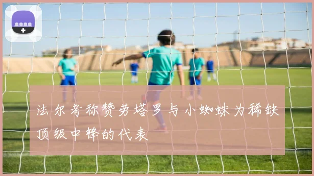 法尔考称赞劳塔罗与小蜘蛛为稀缺顶级中锋的代表