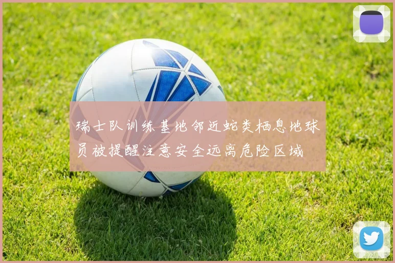 瑞士队训练基地邻近蛇类栖息地球员被提醒注意安全远离危险区域