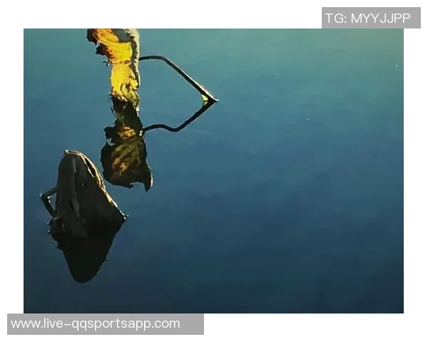 弗拉格调侃队友称呼大叔希望他们感受到岁月的流逝与幽默 弗拉格调侃队友称呼大叔希望他们感受到岁月的流逝与幽默